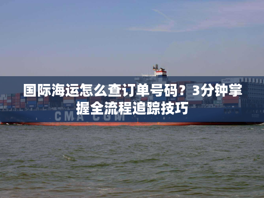 国际海运怎么查订单号码？3分钟掌握全流程追踪技巧