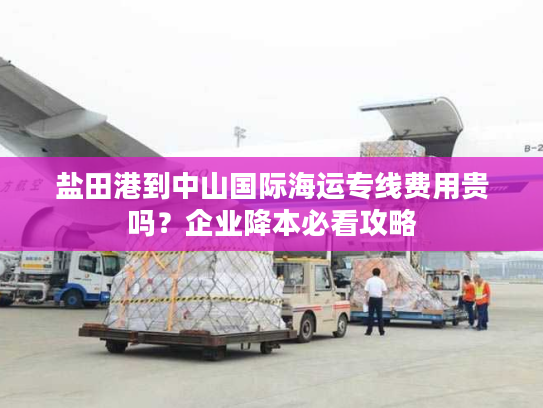 盐田港到中山国际海运专线费用贵吗？企业降本必看攻略