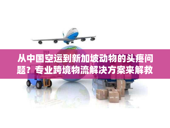 从中国空运到新加坡动物的头疼问题？专业跨境物流解决方案来解救