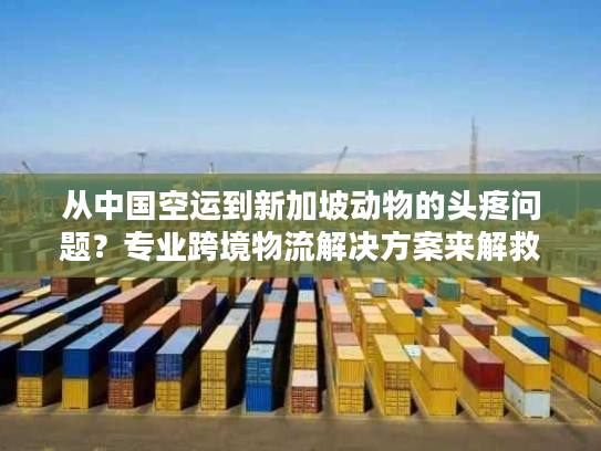 从中国空运到新加坡动物的头疼问题？专业跨境物流解决方案来解救