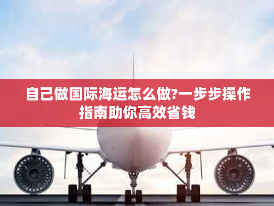 自己做国际海运怎么做?一步步操作指南助你高效省钱