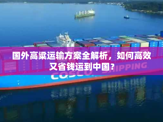 国外高粱运输方案全解析，如何高效又省钱运到中国？