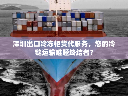 深圳出口冷冻柜货代服务，您的冷链运输难题终结者？