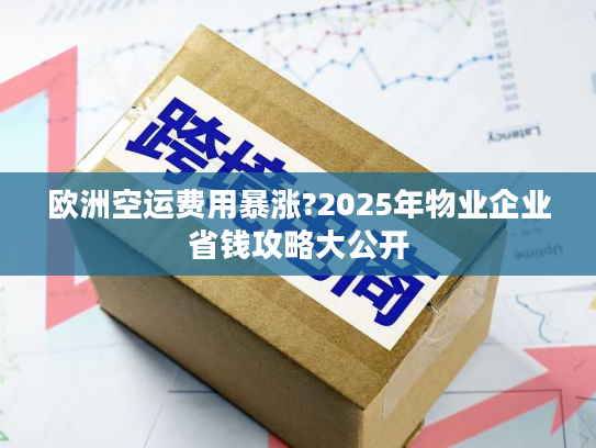 欧洲空运费用暴涨?2025年物业企业省钱攻略大公开