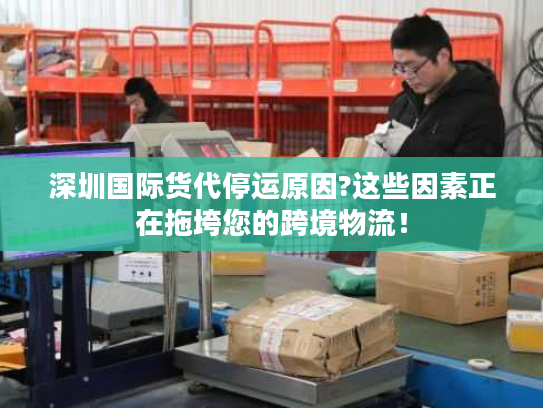 深圳国际货代停运原因?这些因素正在拖垮您的跨境物流! 深圳国际货代停运原因?这些因素正在拖垮您的跨境物流!
