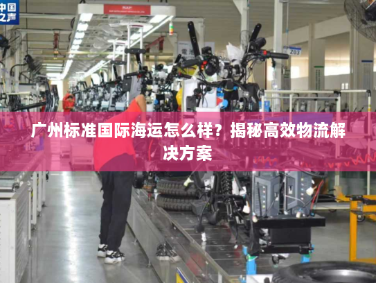 广州标准国际海运怎么样？揭秘高效物流解决方案