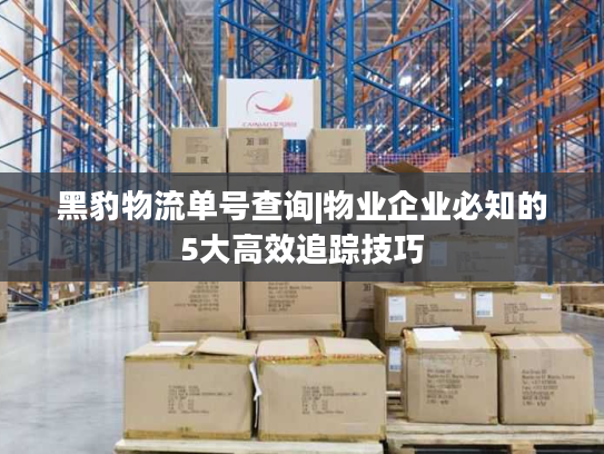 黑豹物流单号查询|物业企业必知的5大高效追踪技巧