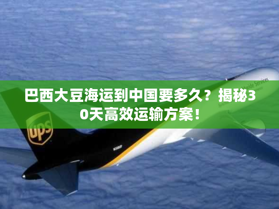 巴西大豆海运到中国要多久?揭秘30天高效运输方案! 巴西大豆海运到中国要多久?揭秘30天高效运输方案!