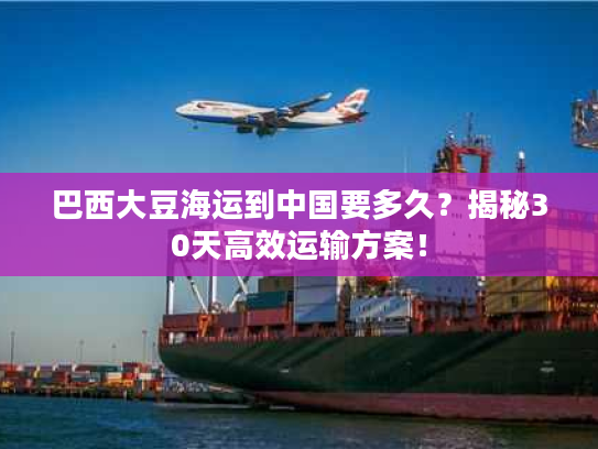 巴西大豆海运到中国要多久?揭秘30天高效运输方案! 巴西大豆海运到中国要多久?揭秘30天高效运输方案!