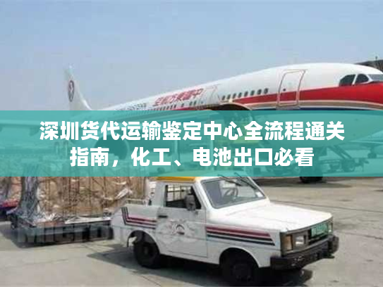 深圳货代运输鉴定中心全流程通关指南，化工、电池出口必看