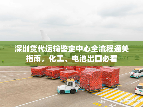 深圳货代运输鉴定中心全流程通关指南，化工、电池出口必看