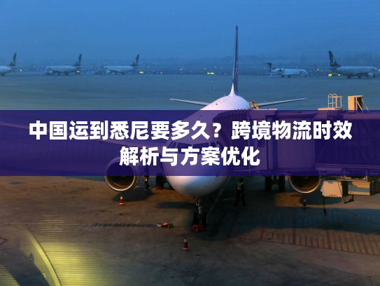 中国运到悉尼要多久？跨境物流时效解析与方案优化