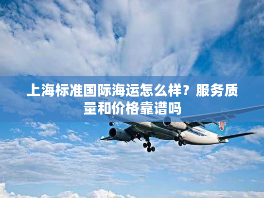 上海标准国际海运怎么样？服务质量和价格靠谱吗