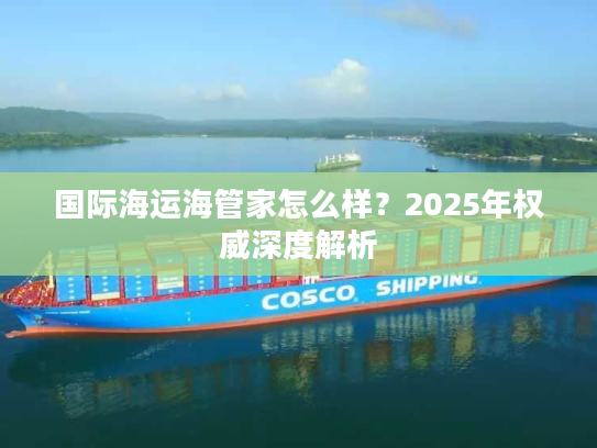 国际海运海管家怎么样?2025年权威深度解析 国际海运海管家怎么样?2025年权威深度解析