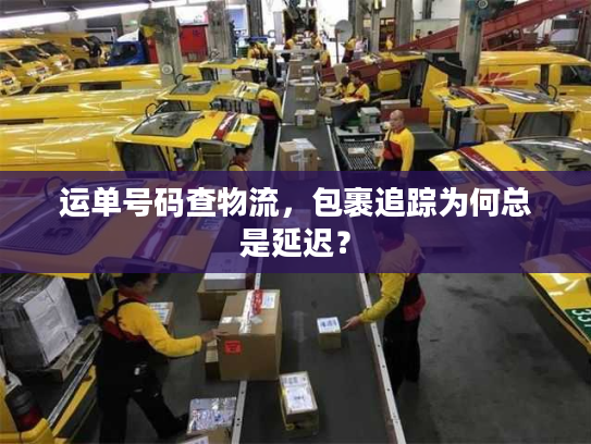 运单号码查物流，包裹追踪为何总是延迟？