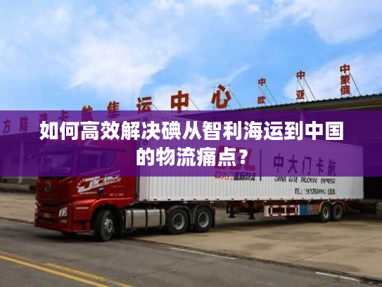 如何高效解决碘从智利海运到中国的物流痛点? 如何高效解决碘从智利海运到中国的物流痛点?