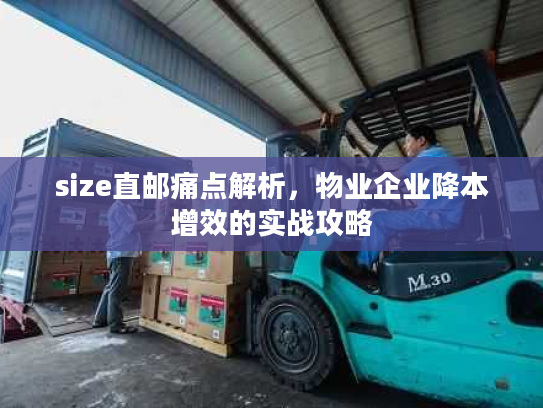 size直邮痛点解析，物业企业降本增效的实战攻略