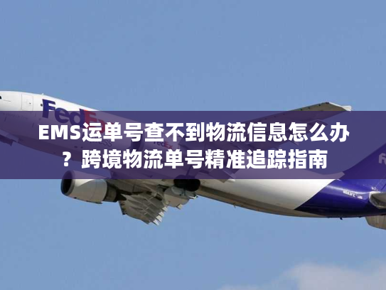 EMS运单号查不到物流信息怎么办？跨境物流单号精准追踪指南