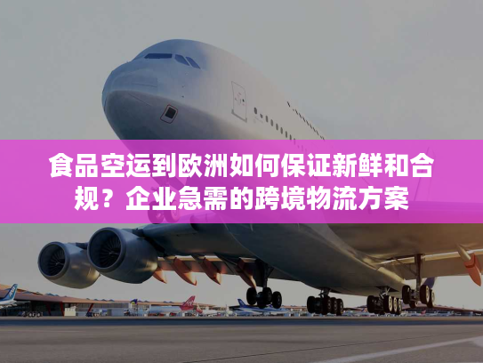 食品空运到欧洲如何保证新鲜和合规？企业急需的跨境物流方案