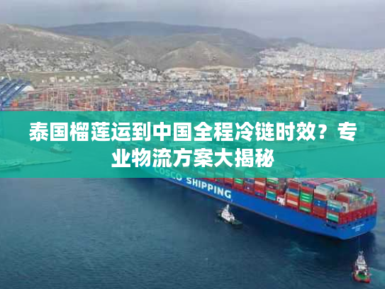 泰国榴莲运到中国全程冷链时效？专业物流方案大揭秘