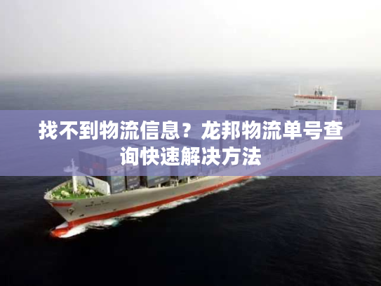 找不到物流信息？龙邦物流单号查询快速解决方法