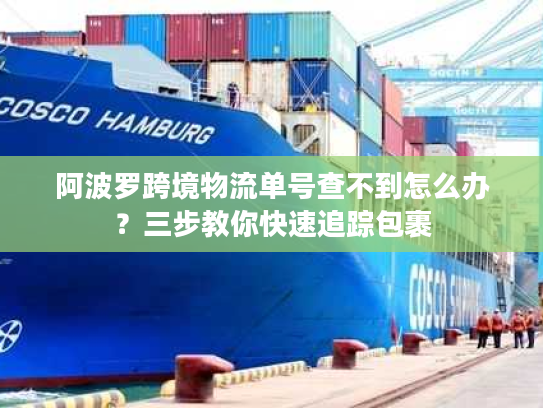 阿波罗跨境物流单号查不到怎么办？三步教你快速追踪包裹