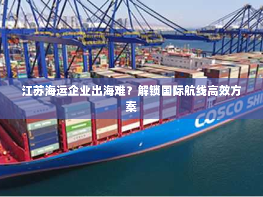 江苏海运企业出海难？解锁国际航线高效方案