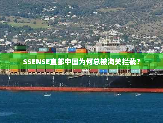 SSENSE直邮中国为何总被海关拦截？