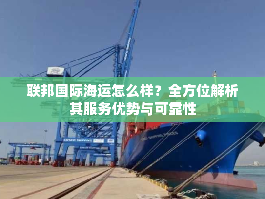 联邦国际海运怎么样？全方位解析其服务优势与可靠性
