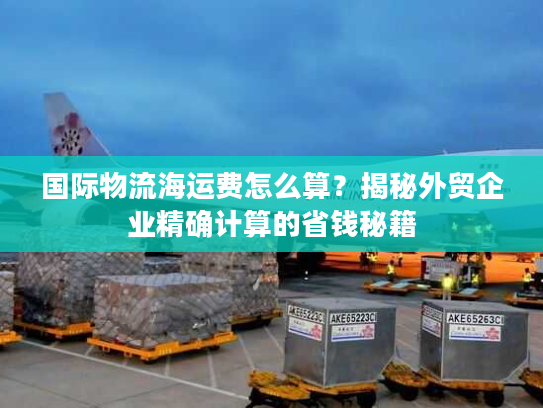 国际物流海运费怎么算？揭秘外贸企业精确计算的省钱秘籍