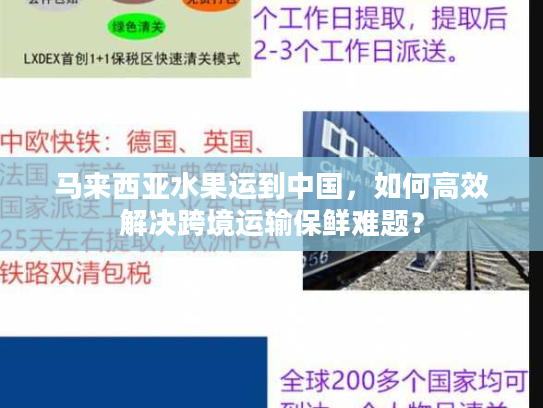 马来西亚水果运到中国，如何高效解决跨境运输保鲜难题？