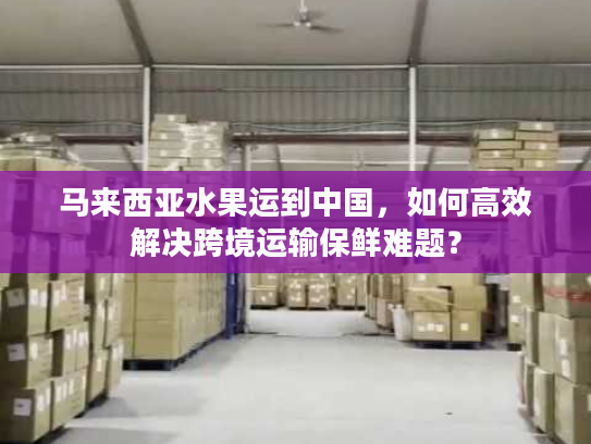马来西亚水果运到中国，如何高效解决跨境运输保鲜难题？