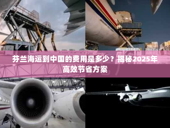 芬兰海运到中国的费用是多少？揭秘2025年高效节省方案