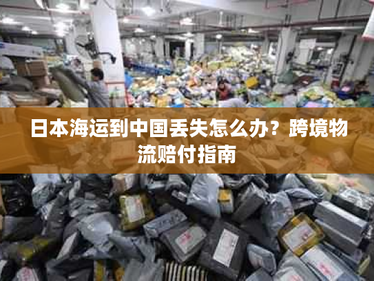 日本海运到中国丢失怎么办？跨境物流赔付指南