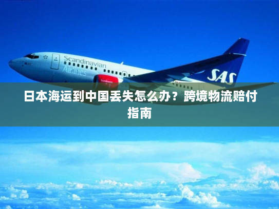 日本海运到中国丢失怎么办？跨境物流赔付指南