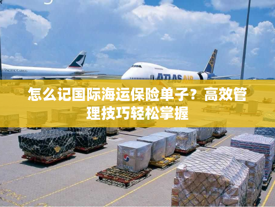 怎么记国际海运保险单子？高效管理技巧轻松掌握