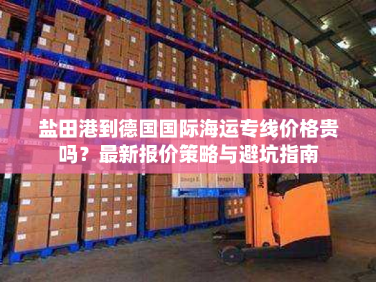 盐田港到德国国际海运专线价格贵吗？最新报价策略与避坑指南