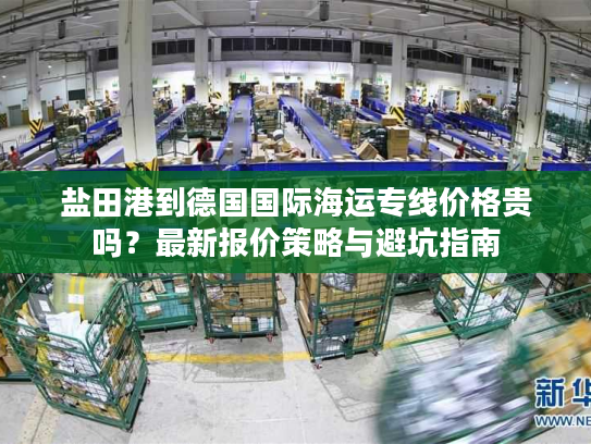 盐田港到德国国际海运专线价格贵吗？最新报价策略与避坑指南