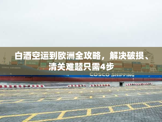 白酒空运到欧洲全攻略，解决破损、清关难题只需4步
