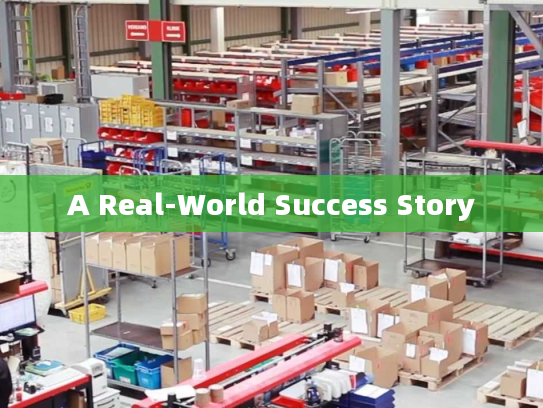 A Real-World Success Story