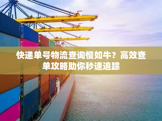 快递单号物流查询慢如牛？高效查单攻略助你秒速追踪