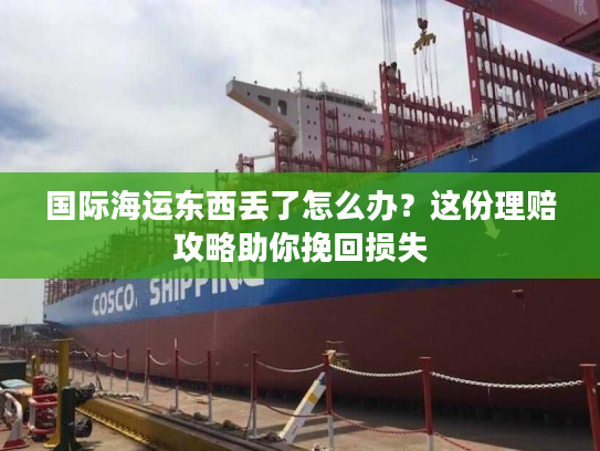 国际海运东西丢了怎么办？这份理赔攻略助你挽回损失