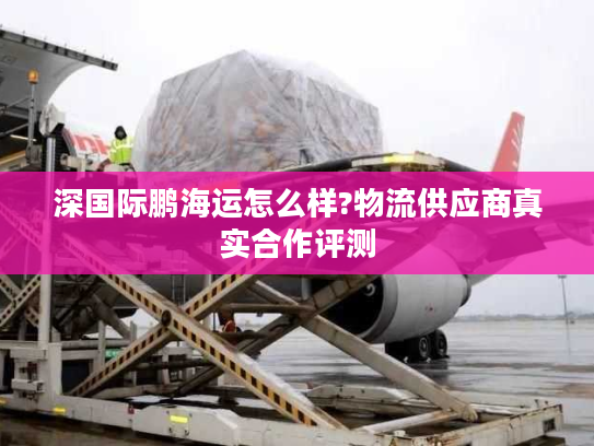 深国际鹏海运怎么样?物流供应商真实合作评测
