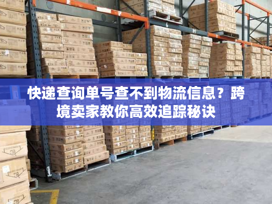 快递查询单号查不到物流信息？跨境卖家教你高效追踪秘诀