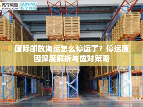 国际邮政海运怎么停运了？停运原因深度解析与应对策略