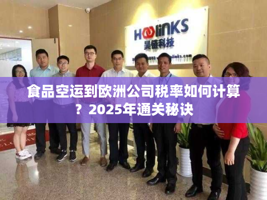 食品空运到欧洲公司税率如何计算？2025年通关秘诀