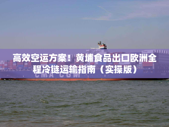 高效空运方案！黄埔食品出口欧洲全程冷链运输指南（实操版）