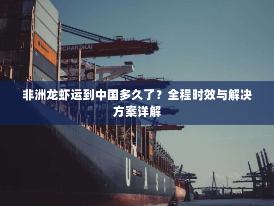 非洲龙虾运到中国多久了?全程时效与解决方案详解 非洲龙虾运到中国多久了?全程时效与解决方案详解