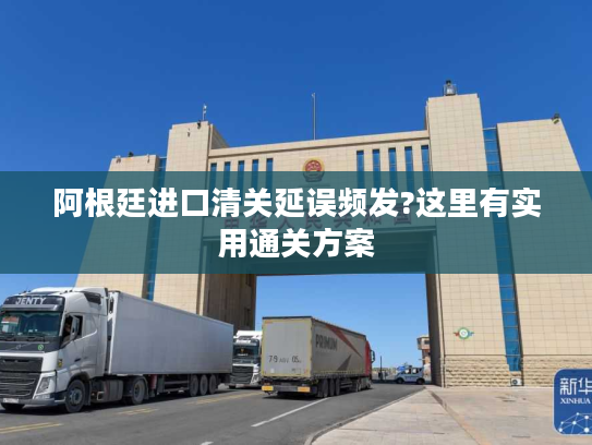 阿根廷进口清关延误频发?这里有实用通关方案