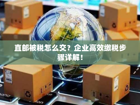直邮被税怎么交？企业高效缴税步骤详解！